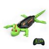 Aoaoy Wall Climbing Gecko, Remote Control Wall Climbing Lizard, Wall Crawler Gecko Robot with LED Lights, Christmas Novelty Toys (Lizard (Green)) view 1