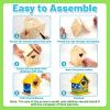 AluAbi 4 Pack Bird House Kits for Kids, Wooden Birdhouses to Build & Paint view 3