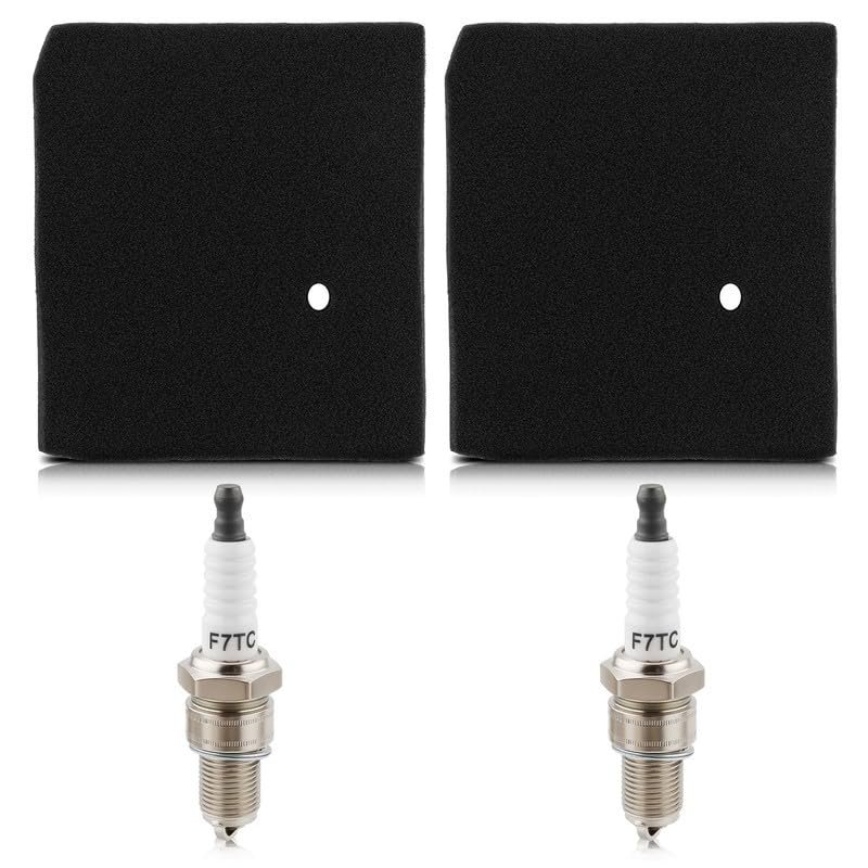 #US Replace Parts 2X Spark Plug for Harbor Freight for Predator Super Quiet 3500W Inverter Generator - (datG.1225#00380)