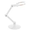 10pcs Action Figure Stand Kits, Doll Display Holder, Plastic Mini Doll Model Support Stand with Easy Assembly, Sturdy and Durable for Anime Figures, Includes 40 Assembly Parts, Scr (Transparent) view 1