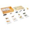 ancona African Animals, English/Simplified Chinese with Pinyin Bilingual, Montessori Preschool Memory Matching Game Box Set with Animal Figurines & 3-Part Cards, Early Education Toy view 2