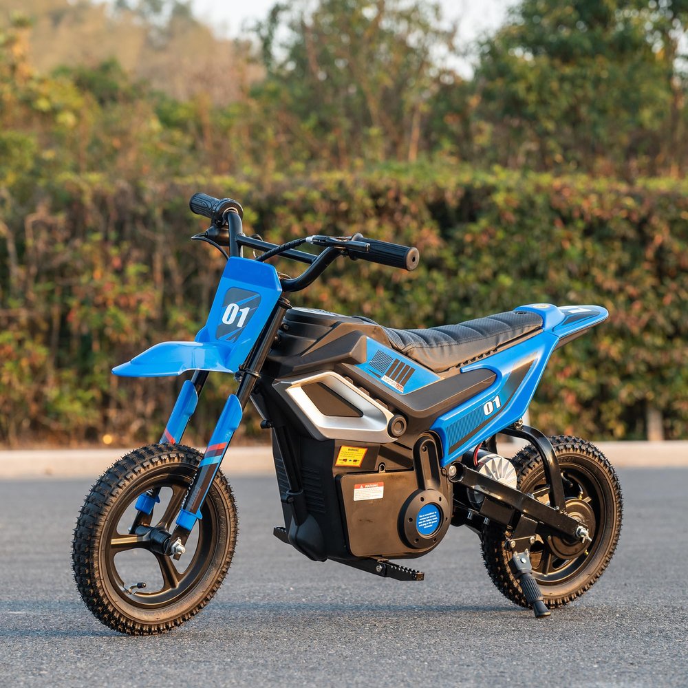 24V Electric Dirt Bike for Kids, 250W Chain Drive Motor, Magnesium Alloy Wheels, Pneumatic Tires, Key Start, Rear Shock, Disc Brake, Blue