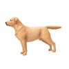 Bassadoro 1:6 Scale Labrador Dog Figure Animal Statue Figurine Playset Accessory for Diorama Decoration Learning Toy- Without Leash view 1