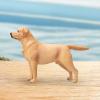 Bassadoro 1:6 Scale Labrador Dog Figure Animal Statue Figurine Playset Accessory for Diorama Decoration Learning Toy- Without Leash view 2