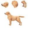 Bassadoro 1:6 Scale Labrador Dog Figure Animal Statue Figurine Playset Accessory for Diorama Decoration Learning Toy- Without Leash view 3