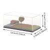 1/64 Scale Model Car Display Case with Parking Scene Diorama, Dustproof Acrylic Cover for Diecast Vehicles and Tiny Figures (4.72x2.28x1.93inch)- Spring Scene view 3