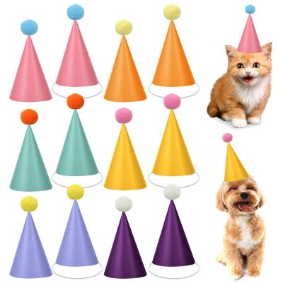 48Pcs Mini Colorful Birthday Party Hats for Stuffed Animals 4Inch Adjustable Cone Caps with DIY Pom Poms Colorful Mini Party Hats Pets Dolls Kids Small Birthday Decorations Kit for Holidays