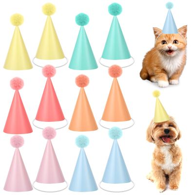 48Pcs Mini Pastel Birthday Party Hats for Stuffed Animals 4Inch Adjustable Cone Caps with DIY Pom Poms Colorful Mini Party Hats Pets Dolls Kids Small Pastel Birthday Decorations Kit for Holidays