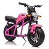 24V 300W Kids Electric Dirt Bike Motorcycle Toy, High-Speed Dirt Bike, 14in EVA Wheels & Dual Suspension with Music & Lights, Ideal Gift for Boys Girls Ages 6 and Up (Pink) view 4