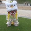 14 Inch Lifelike Lion Dance Mascot Costume Traditional Chinese New Year Decoration & Carnival Festival Wear (Orange) view 4