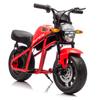 24V 300W Kids Electric Dirt Bike Motorcycle Toy, High-Speed Dirt Bike, 14in EVA Wheels & Dual Suspension with Music & Lights, Ideal Gift for Boys Girls Ages 6 and Up (Red) view 3