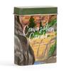 1Canoe2 Conversation Cards, 50 Thoughtful Prompts in Metal Tin, Road Trip and Campfire Game (Campfire) view 2
