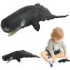 Bemonew 8x3x2 Inch Sperm Whale Toy Realistic Plastic Sea Animal Figurine with Open Mouth view 1