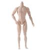 1/6 Scale Action Figure, 6" Multi Jointed Movable Male Muscular Action Figure Body for Display Collection, Beige view 1