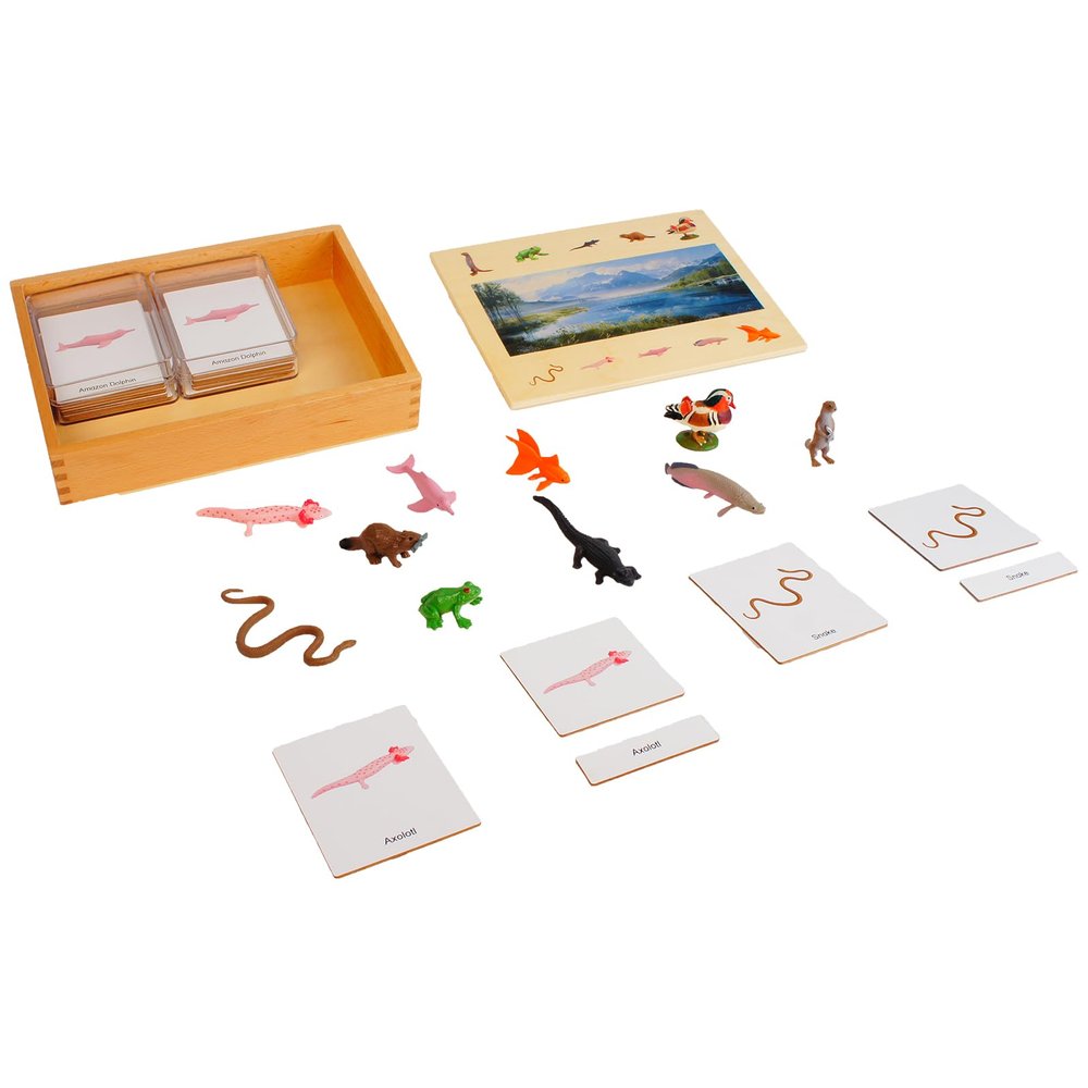 ancona Ecosystem- Freshwater Animals, Spanish/Simplified Chinese with Pinyin Bilingual, Montessori Preschool Memory Matching Game Box Set with Animal Figurines & 3-Part Cards, Early Education Toy