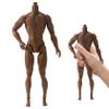 1/6 Scale Action Figure, 6" Multi Jointed Movable Male Muscular Action Figure Body for Display Collection, Brown view 4