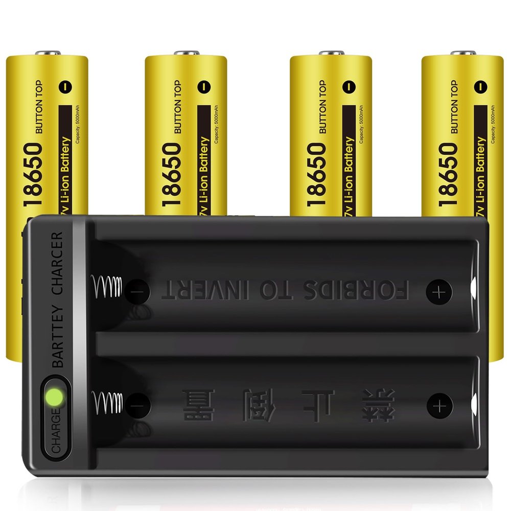 2 Slot Wall Charger for Rechargeable Batteries for Flashlights Headlamps Outdoor Garden Lights (4Button Top 2slot Charger)