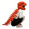 3D Wearable Plush Dinosaur Costume,Funny Dinosaur Skeleton T-Rex Helmet Spine Extension Costume,Dino Skeleton Outfit (29") view 2