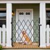 YITAHOME Single Folding Security Gate, 50" Hx75 W Folding Door Gate, Flexible Expanding Security Gate, Steel Safety Gates, 360 Rolling Barricade Gate, Scissor Gate with Padlock, Aluminum Alloy Mesh view 2