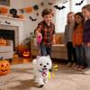 Electronic Toy Dog - Soothing Interactive Pet, Electric Dog with Realistic Sounds, Fun Toys Singing Barking, Kids Play Toy for Living Room Bedroom Dorm, Travel Friendly Dogs Toys for Apartment Childre view 3