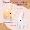 IGUOCY Realistic Bunny Toy, Easter Bunny Plush Toy, Interactive Hopping Rabbit with Carrot, Robot Bunny with Sounds, Wiggling Ears, Twitching Mouth and Nose, Easter Basket Birthday Gift (Brown) view 4