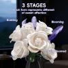 APENGBAOL White Roses Flowers Bouquet Building Set with Vase 256 Pcs Artificial Botanical Collection with Purple Accents Floral Centerpiece Home Decor Gift for Adults view 3