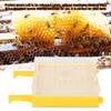 Queen Rearing Set Complete Queen Bee Breeding Kit with Protective Covers for Beekeepers Plastic Bee Keeping Supplies view 2