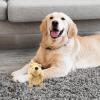 Cute Hedgehog Dog Squeaker Auditory Engagement Satisfaction Mental Stimulation Energy Release Aggressive Toy Plush for Teething, Toys for Small Dogs, Plush Toy view 3