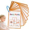 Body Parts - English Flash Cards for Kids | 15 Piece Pocket Set, Vocabulary Learning Tool & Educational for, Preschoolers, Early Language Development, Home Study, Classroom view 1