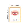 Body Parts - English Flash Cards for Kids | 15 Piece Pocket Set, Vocabulary Learning Tool & Educational for, Preschoolers, Early Language Development, Home Study, Classroom view 2