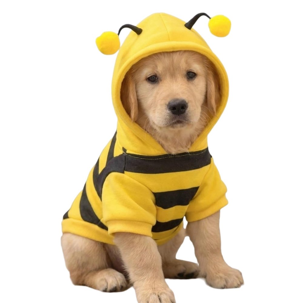 Cute Bee Rabbit Costume Hoodie Warm Winter Outfit for Rabbits, Chinchillas, Guinea Pigs Yellow Small Pet Apparel (Small,No D-Ring)