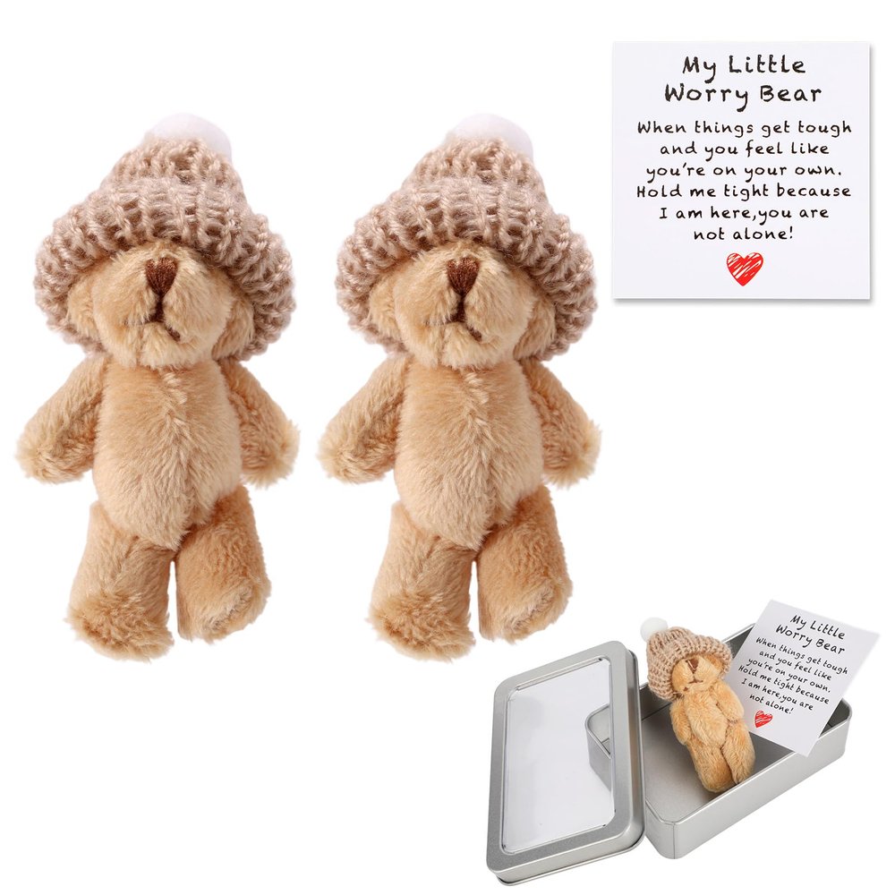 2 Set of Mini Bears, Cute Brown Little Bear in a Box with Encouraging Card and Iron Case Soft My Tiny Little Worry Positive Pocket Bear Small Perfect Desk Decor for Family Friends Thoughtful Gifts