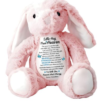 A Little Hug from Heaven - Personalized Stuffed Bunny, Butterfly Memorial - Personalized Bunny Plush, Hug from Heaven Sympathy Bunny Stuffed Animal, Memorial Gift, Sympathy Gifts for Loss of Loved