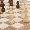 3 in 1 Chess Pieces Set, Wooden Chess Board Set for Kids and Adults, Folding Educational Checkers Game with 16 Brown and 16 Gray Chess Pieces, 30 Checkers and 2 Dice, Portable Pine view 3