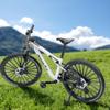 Generisch Mini Mountain Bike Toy 1:10 Simulated Bike Alloy Finger Mountain Bike Model Ornaments (White) view 4