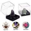 24Pcs Small Display Box Plastic Clear Rock Collection Display Case 1.4x1.4x1.4inch, Square Specimen Boxes for Rocks and Mineral Storage Collection view 2