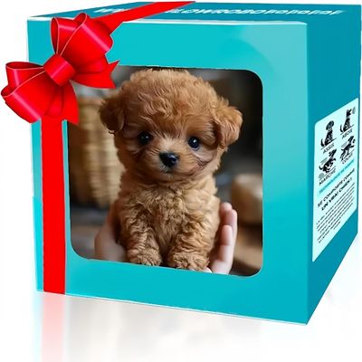 YOUGAANY 2026 New Upgrade Hopping Dog Interactive Electronic Plush Puppy - Plush Puppy Dog Walking, Barking & Tail Wagging (Brown)
