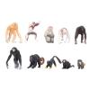 BAFOVY 10PCS Plastic Animal Figures Primate Set Proboscis Orangutan with Detailed Simulation for Kids Education Decor view 3