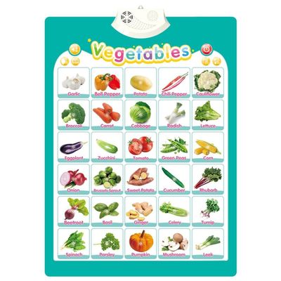 Interactive Educational Wall Chart Talking Toy for Toddler Early Learning Water and Safe Use English Learning