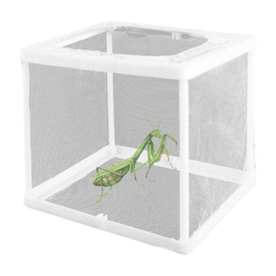 KUYYFDS 2Pcs Praying Mantis Habitat 6.3x5.9x5.5inch, Praying Mantis Egg Case Incubator for Tarantulas Spiders Snails Crickets and Ants and Other Small Animals
