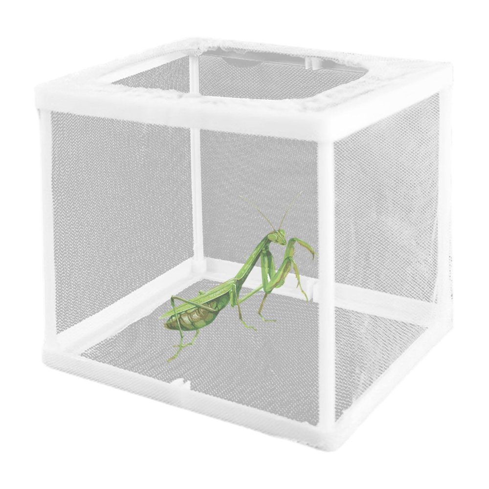 KUYYFDS 2Pcs Praying Mantis Habitat 6.3x5.9x5.5inch, Praying Mantis Egg Case Incubator for Tarantulas Spiders Snails Crickets and Ants and Other Small Animals