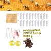 Queen Bee Rearing System Plastic Breeding Cell Cup Kit Beekeeping Equipments Supplies for Apiculture Scene view 2