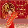2026 Chinese New Year Banner Year of the Horse Decorations, Happy Chinese New Year Backdrop, Chinese Lunar New Year Decorations view 3