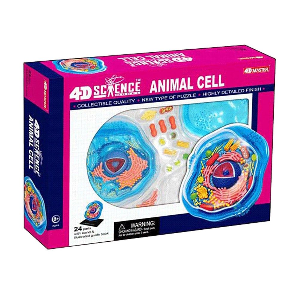 4D Animal Cell Model, 24 Detachable Parts Cell Organs Cell Animal Learning Model Microbiology Structure Under The Microscope, for Training and Teaching Demonstration