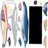 4D Vision Dolphin Anatomy Model, Detachable 18 Organs and Body Parts, Simulated Dolphin Dissection Kit, for Medical Demonstration view 2