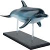 4D Vision Dolphin Anatomy Model, Detachable 18 Organs and Body Parts, Simulated Dolphin Dissection Kit, for Medical Demonstration view 4