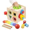 Activity Cube - Wooden Developmental Toy, Multi Functional Play Cube for Party, Playroom, Classroom Home Birthday Gift Girls, Boys Kids Early Learning Motor Skill Development, Educational Fun view 1