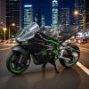 HTLNUZD New 1/64 H2R Alloy Motorcycle Miniatures - Simulation Die-Cast Collectible Model for Display, Decoration & Souvenir Gift view 2