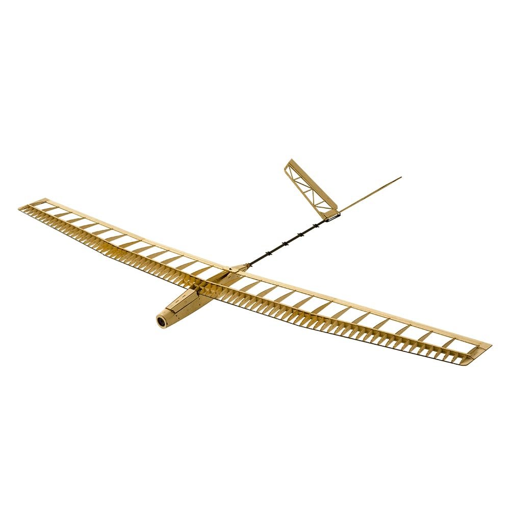 AEORCACC 1400mm F14 RC Glider U-ZI RC Plane 1908-2000KV Motor 20A ESC 3CH Remote Control Aircraft for Beginner Wooden RC Airplane