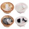 Bemonew Cat, 4Pcs Cute Realistic Mini Cat Toys for Kids Boys Girls, 5x2in Safe Compact Sleeping Kitten in Woven Basket for Office Desk Hand Toy view 3